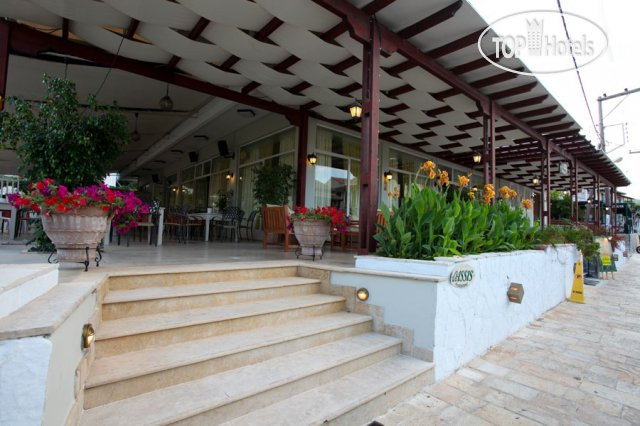 New photos from tourists Oassis