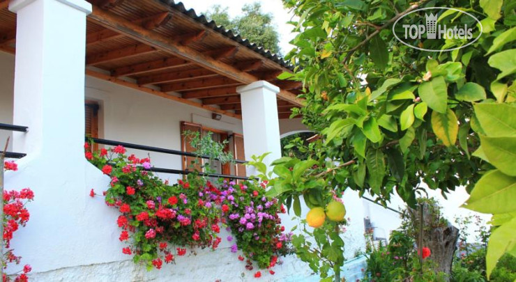Hotelier's photos Ulisse Apartments 1*