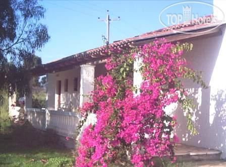 New photos from tourists Elli Villa APT