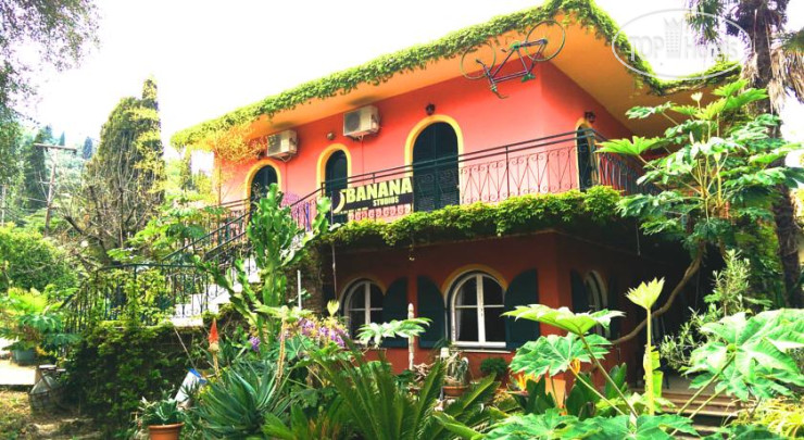 Hotel photo The Banana Studios 