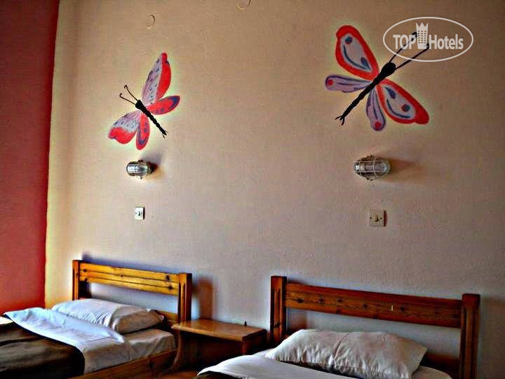 New photos from tourists Comfy Hostel Studios