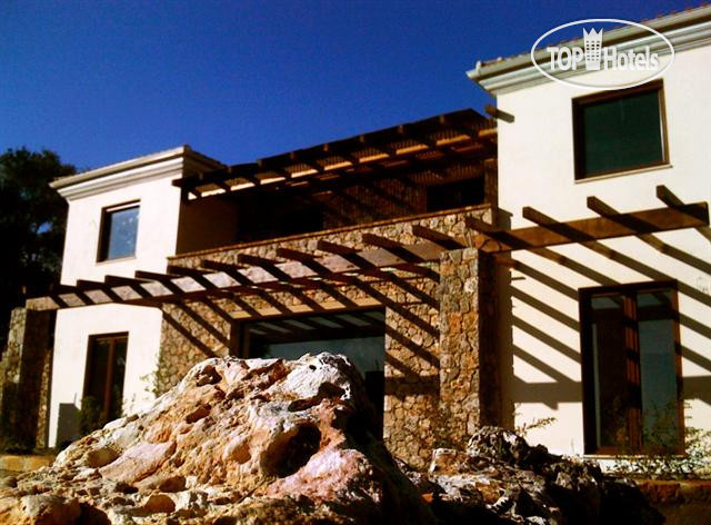 New photos from tourists Villa Piedra APT