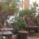Photos Anthemis Apartments