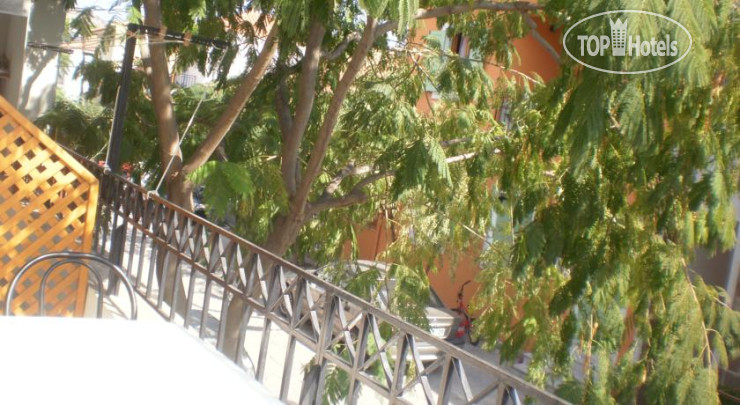 New photos from tourists Dimitra