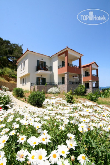 Hotelier's photos Alma Hotel 4*