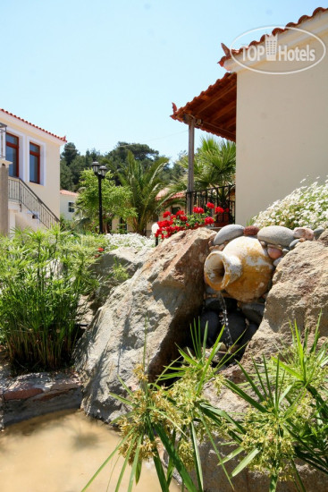 New photos from tourists Alma Hotel 4*