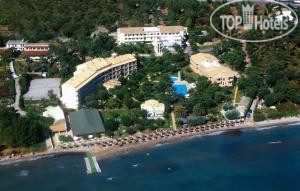 Hotelier's photos Delfinia Hotel & Bungalows APT