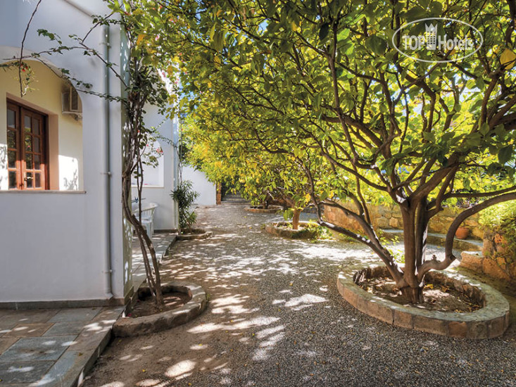 New photos from tourists Lemon Tree Studios 3*