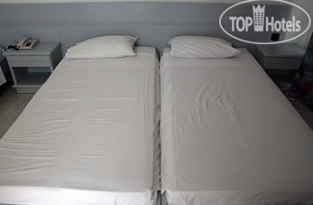 New photos from tourists Despina Hotel