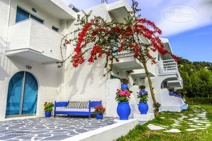 Hotel photo Pine Trees Art Hotel 2*