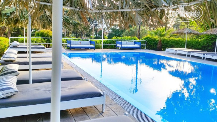 New photos from tourists Pine Trees Art Hotel 2*