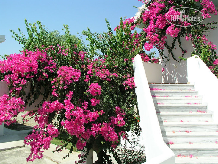 New photos from tourists Stafilia Beach 3*