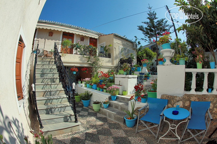 New photos from tourists Villa Marina