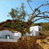Фото Kamaroti Suites Hotel
