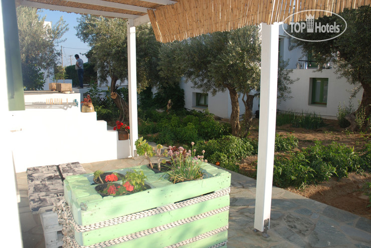 New photos from tourists Edem Hotel 3*