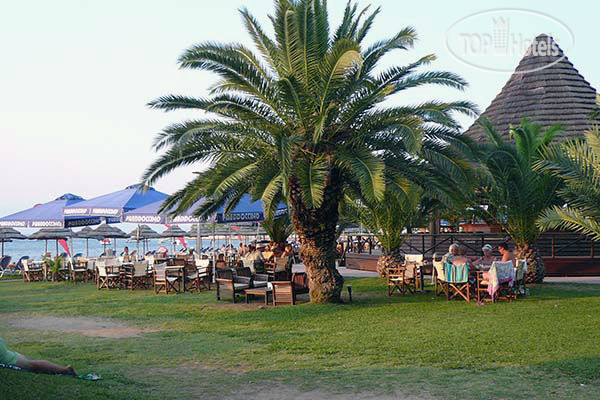 New photos from tourists Violetta Hotel