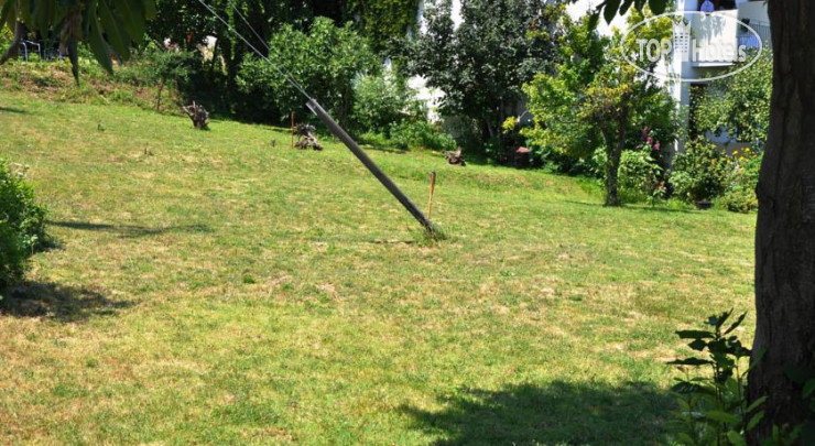 New photos from tourists Villa ton Rodon 2*