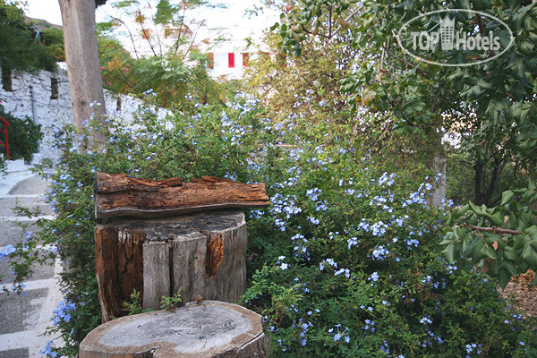 New photos from tourists Anna Studio 2*