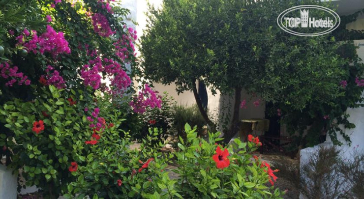 New photos from tourists Utopia Hotel Apartments