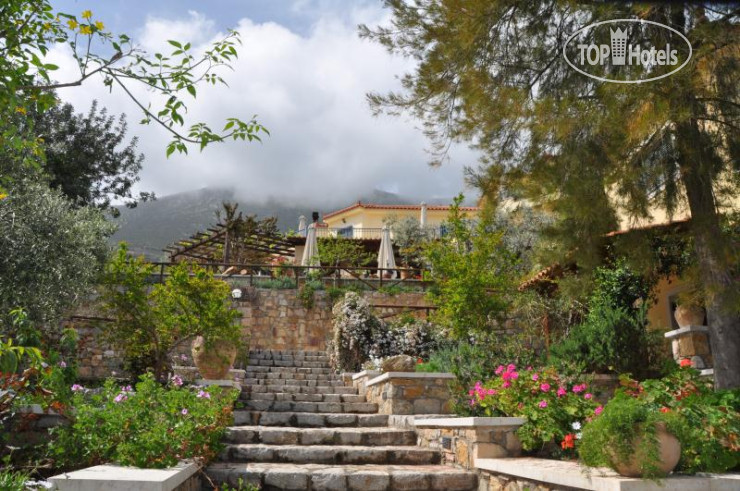 New photos from tourists Angelica Villas Hotel