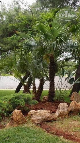 Новые добавленные фото туристов Onar 3*