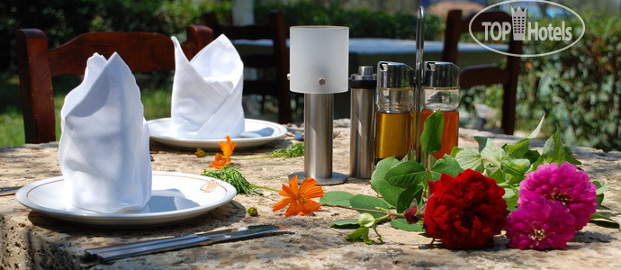 New photos from tourists Best Western Hotel Europa 4*