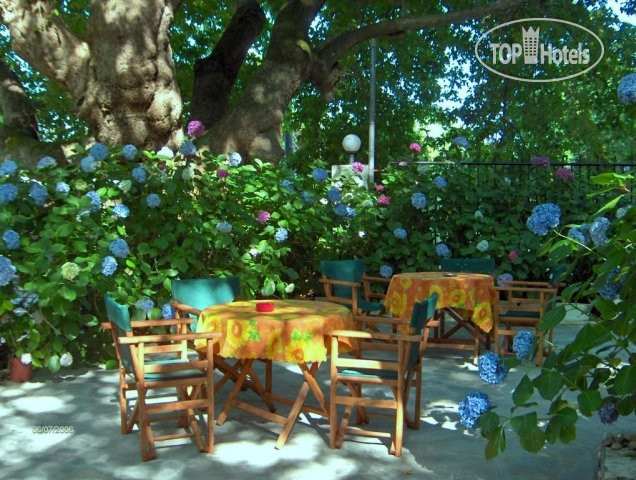 New photos from tourists Tasoula Parselia Studios