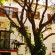 Atzanou Rooms 