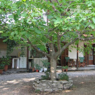 Фото Akamatis Giorgos