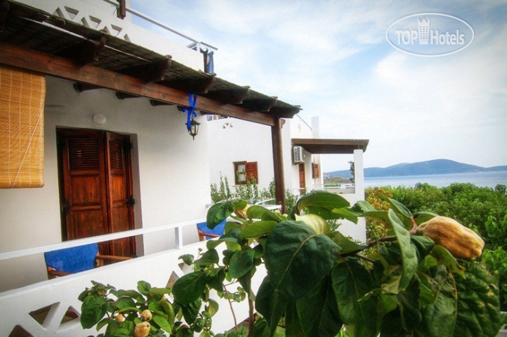 New photos from tourists Thalassia Studios