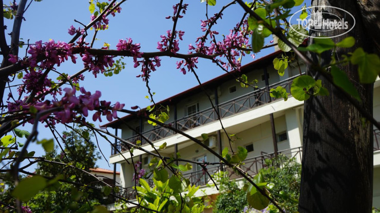 Hotelier's photos Hotel Morfeas 2*