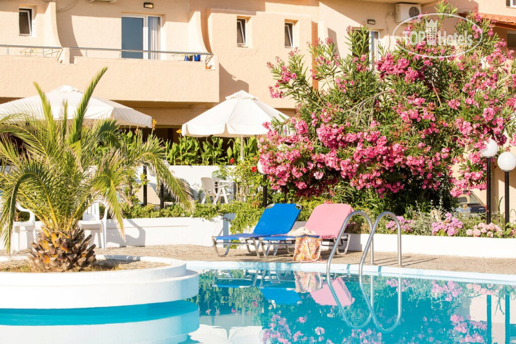 New photos from tourists Albatros Hotel 3*