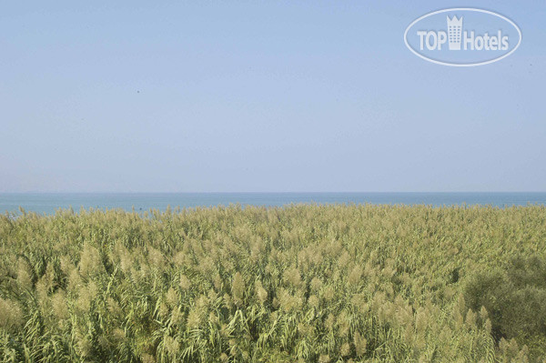 New photos from tourists Proimos Apartments