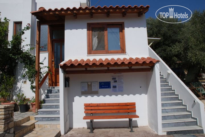 Hotel photo Olive Grove 