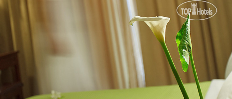 New photos from tourists Sofia Hotel 2*