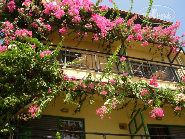 Hotel photo Angelikis Apartments 
