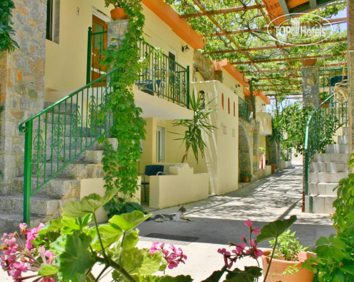 Hotelier's photos Ammoudara Beach Appartments