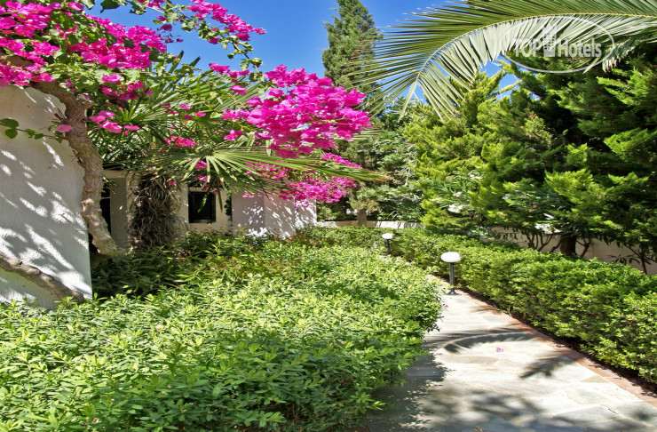 New photos from tourists Anna Maria Village 3*
