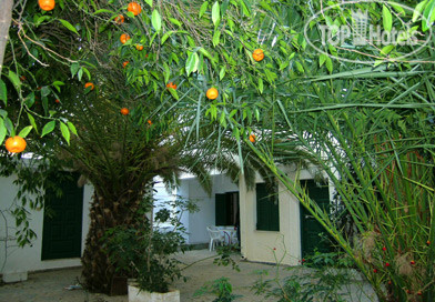 New photos from tourists Marianna Apartments