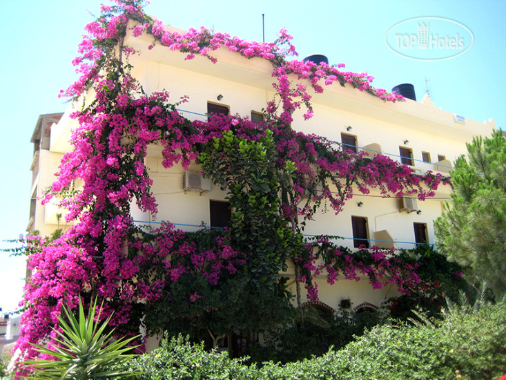 Hotel photo Knossos Hotel 