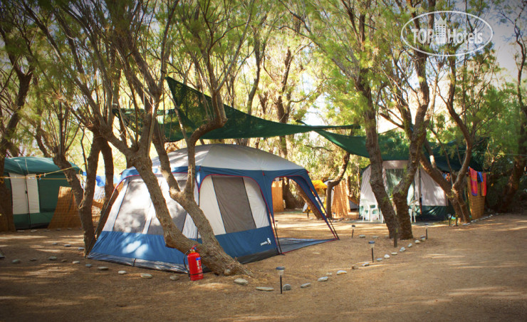 Hotelier's photos Camping Nopigia