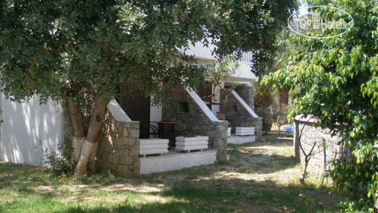 New photos from tourists Avra Palm