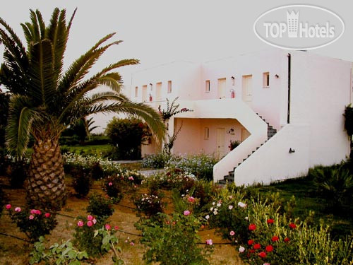 New photos from tourists Delfina Beach 4*