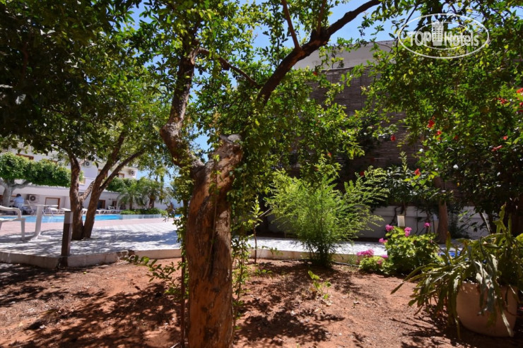 New photos from tourists Asana Hotel 3*