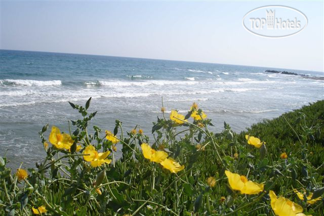 New photos from tourists Shotels Sunset Beach 3*
