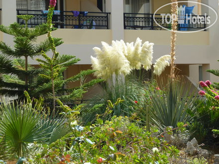 New photos from tourists Vantaris Palace 4*
