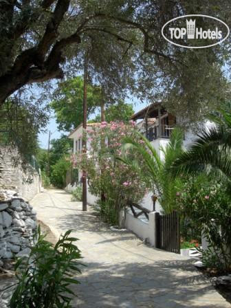 Новые добавленные фото туристов Galatia by Knossos Beach 3*