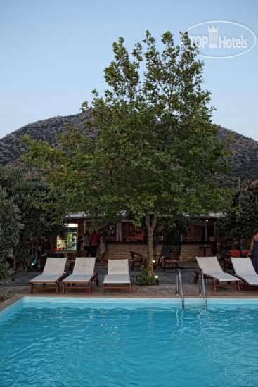 Новые добавленные фото туристов Marvida Hotel Niriides Beach 4*