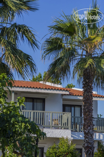 New photos from tourists Golden Coast 4*