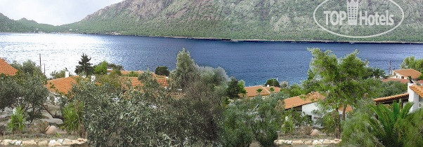 New photos from tourists Mantas Bay 3*
